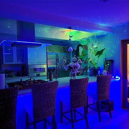 Heaven'S Best Kept Secret 4 Min From The Sea Los Angeles Extérieur photo