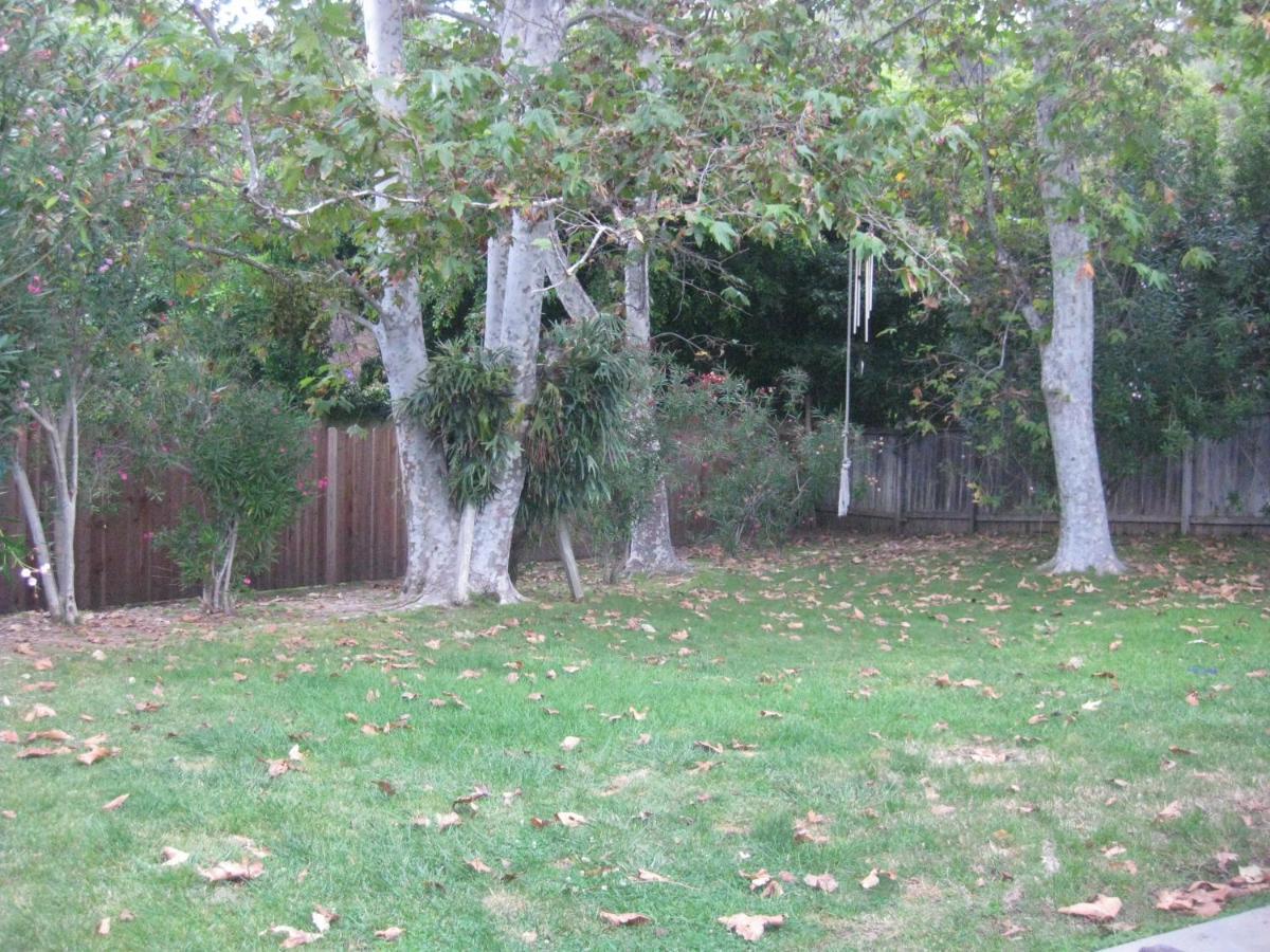 Heaven'S Best Kept Secret 4 Min From The Sea Los Angeles Extérieur photo