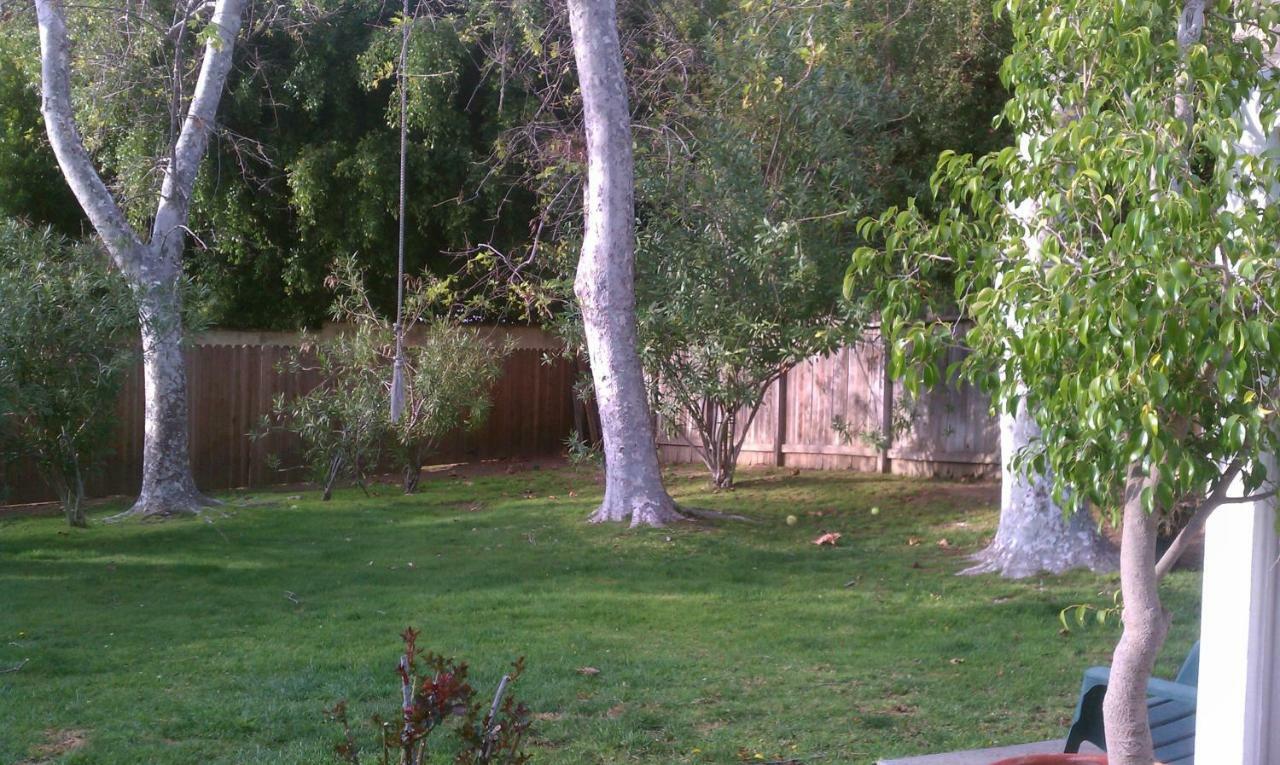 Heaven'S Best Kept Secret 4 Min From The Sea Los Angeles Extérieur photo