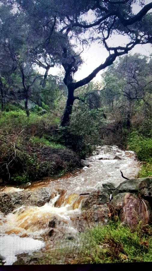 Heaven'S Best Kept Secret 4 Min From The Sea Los Angeles Extérieur photo