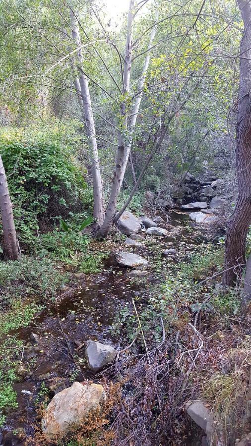 Heaven'S Best Kept Secret 4 Min From The Sea Los Angeles Extérieur photo